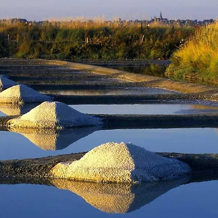 Maison Avec Grand Jardin Ludique Proche Guérande